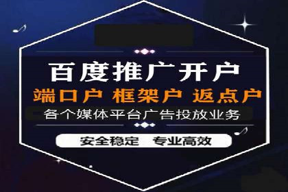 行业专家解析SEM代运营成功案例